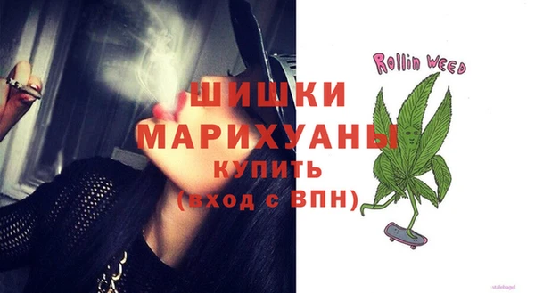 прущие грибы Надым