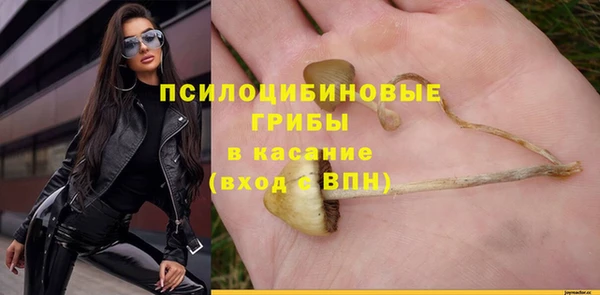 мдпв Михайловск