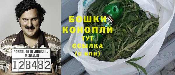 мдпв Михайловск