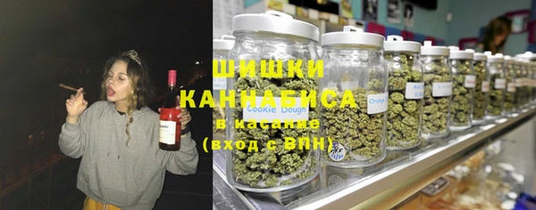 мдпв Михайловск