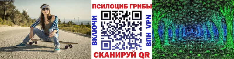 Псилоцибиновые грибы GOLDEN TEACHER  Купить закладки  Бирюч 
