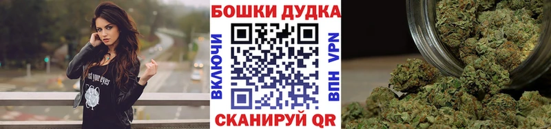 Конопля Amnesia  Купить где  Бирюч 